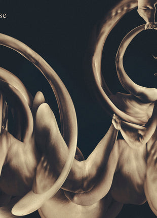 the album cover for Siamese - Dissolution