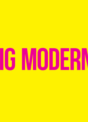 the album cover for Goose - Big Modern