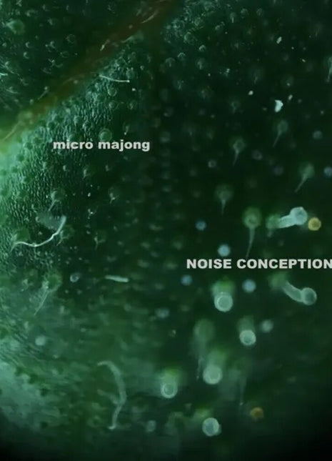 the album cover for Micro Majong - Noise Conception