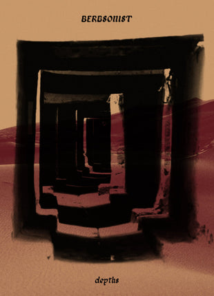 the album cover for Bergsonist - Depths