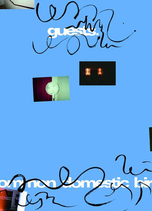 the album cover for Guests - Common Domestic Bird