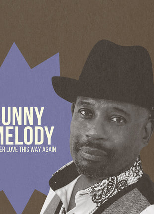 the album cover for Bunny Melody - Never Love This Way Again (Mod)