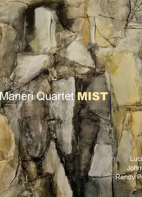 the album cover for Mat Maneri - Mist