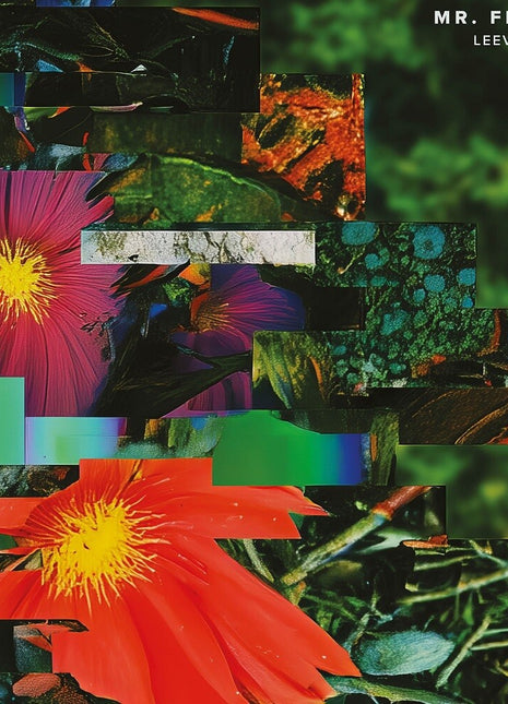 the album cover for Mr. Fingers - Leev Ur Mynd