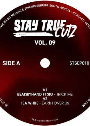 the album cover for Stay True Cutz Vol. 9 / Various - Stay True Cutz Vol. 9 (Various Artists)
