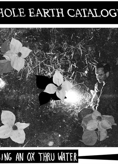 the album cover for Dragging an Ox through Water - Whole Earth Catalogued