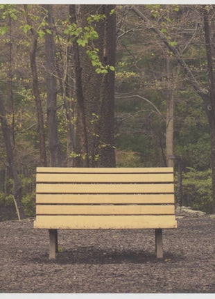 the album cover for Streetlight Manifesto - Hands That Thieve [Colored Vinyl] [Reissue]