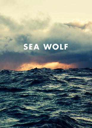 the album cover for Sea Wolf - Old World Romance - Coke Bottle Clear [Clear Vinyl]