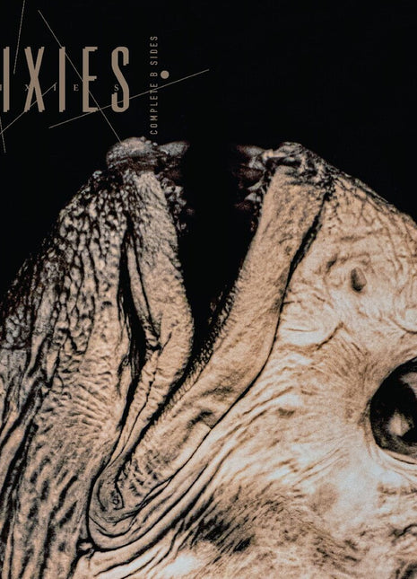 the album cover for Pixies - Complete B Sides: 1988-97 [Indie Exclusive Clear]