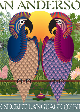 the album cover for Ian Anderson - Secret Language Of Birds