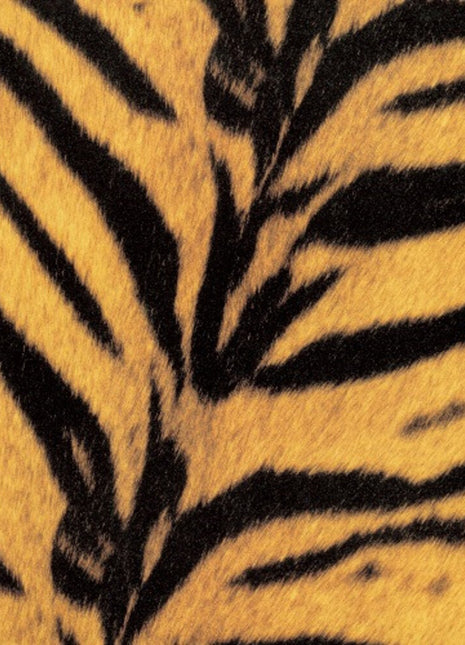 the album cover for High-Lows - Tigermobile (Jpn)