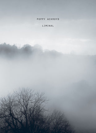 the album cover for Poppy Ackroyd - Liminal