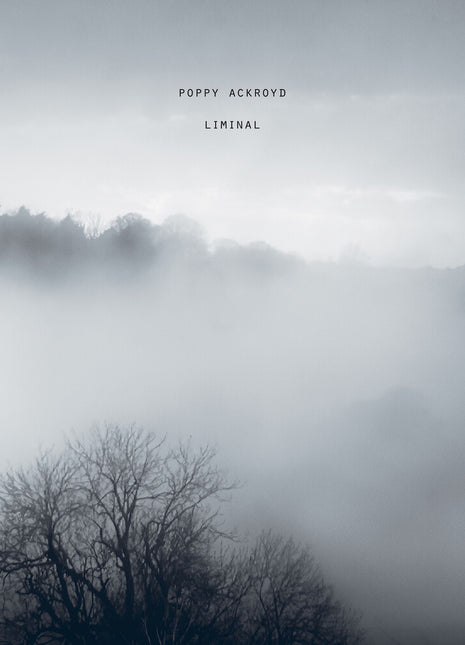 the album cover for Poppy Ackroyd - Liminal