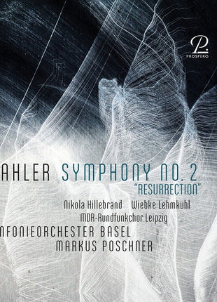 the album cover for Wiebke Lehmkuhl - Symphony No. 2