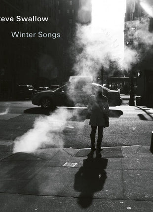 the album cover for Steve Swallow - Winter Songs