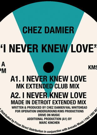 the album cover for Chez Damier - I Never Knew Love