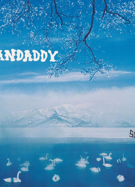 the album cover for Grandaddy - Sumday