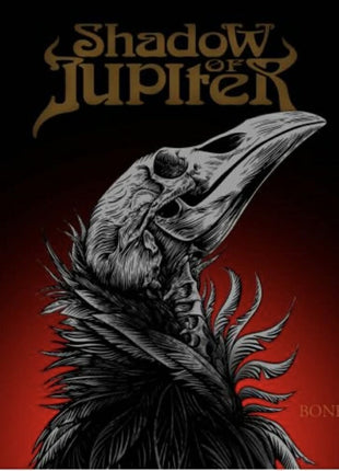 the album cover for Shadow Of Jupiter - Bones