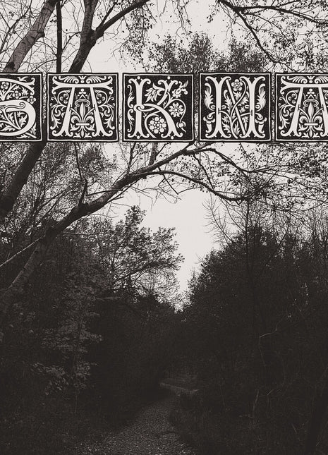 the album cover for Sakna - De Syv Dodssynder (2-12 Inch)