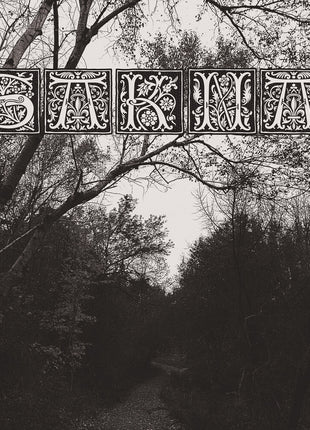 the album cover for Sakna - De Syv Dodssynder