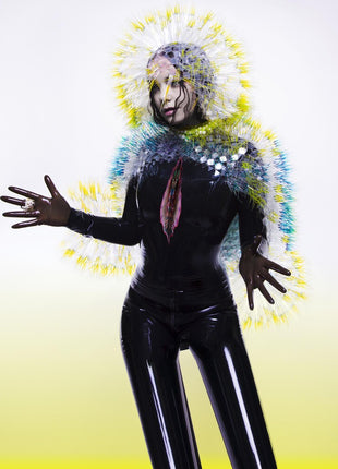 the album cover for Bjork - Vulnicura