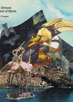 the album cover for Mike Cooper - Dream Island of Birds