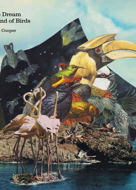 the album cover for Mike Cooper - Dream Island of Birds