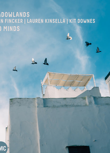 the album cover for Robin & Kinsella,lauren & Downes,kit Fincker - Two Minds