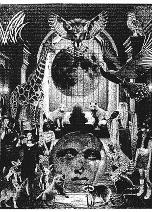 the album cover for Never - Gray