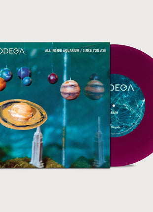 the album cover for Bodega - All Inside Aquarium
