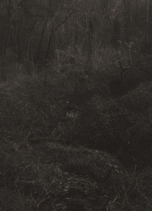 the album cover for Lesley Mok - Transient [Download Included]