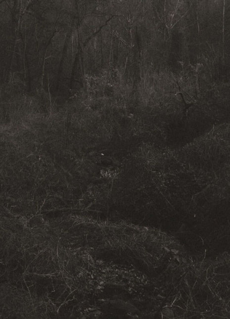 the album cover for Lesley Mok - Transient [Download Included]