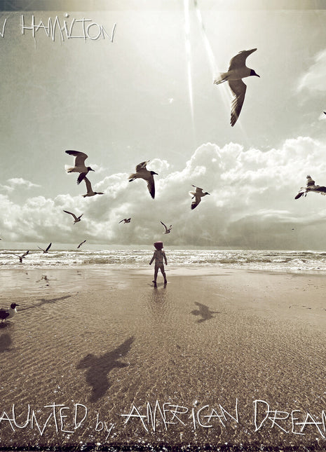 the album cover for Ryan Hamilton - Haunted by American Dreams
