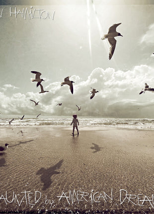 the album cover for Ryan Hamilton - Haunted by American Dreams