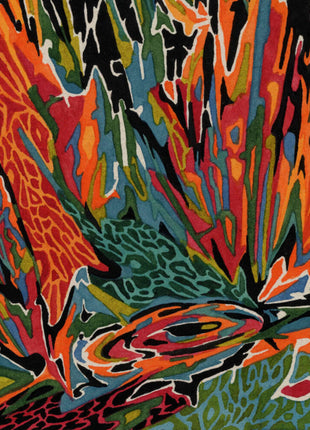 the album cover for Akusmi - Terra Incognita (color Vinyl)