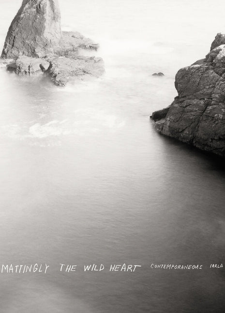 the album cover for Dylan Mattingly - Wild Heart