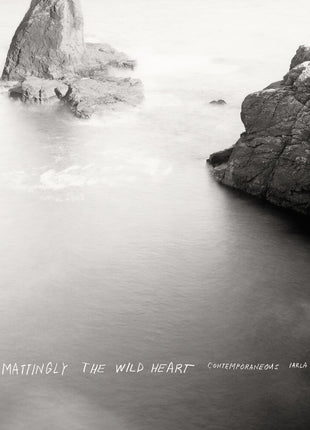 the album cover for Dylan Mattingly - Wild Heart