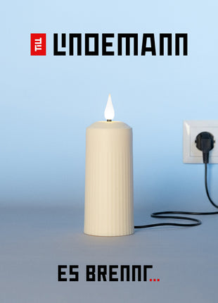 the album cover for Till Lindemann - Es Brennt