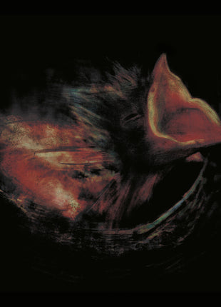 the album cover for Gurriers - Nobody's Coming To Save You [Black]