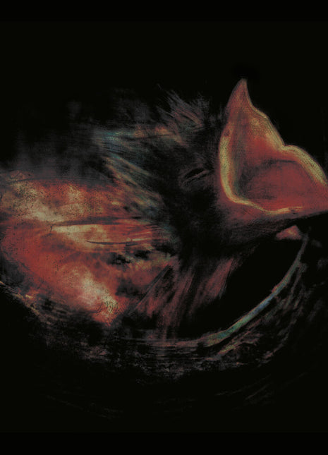 the album cover for Gurriers - Nobody's Coming To Save You [Black]