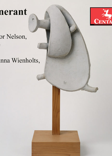 the album cover for Conor Nelson - Itinerant