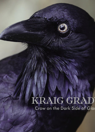 the album cover for Kraig Grady - Kraig Grady: Crow On The Dark Side Of Gloss