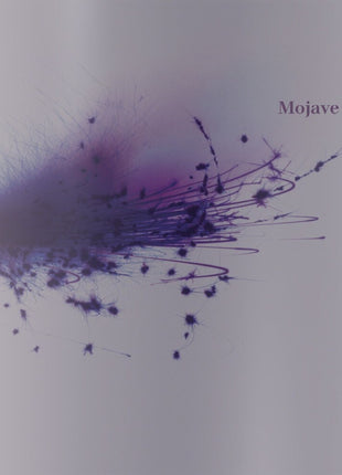 the album cover for Mojave 3 - Ask Me Tomorrow