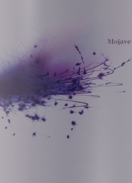 the album cover for Mojave 3 - Ask Me Tomorrow