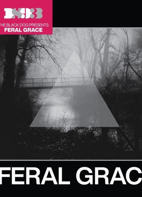 the album cover for Black Dog - Feral Grace