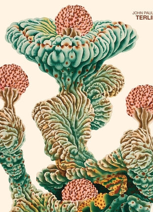 the album cover for John Paul Bohon - Terlingua