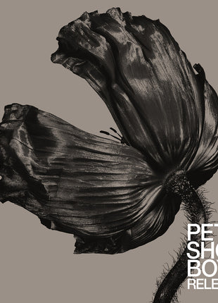 the album cover for Pet Shop Boys - Release (2017 Remaster)