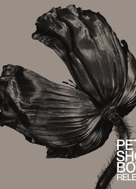 the album cover for Pet Shop Boys - Release (2017 Remaster)