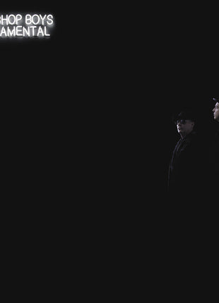 the album cover for Pet Shop Boys - Fundamental (2017 Remaster)