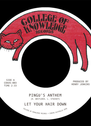 the album cover for Let Your Hair Down - Pingu's Anthem B/W Gronk